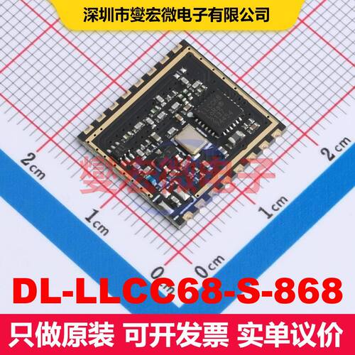 DL-LLCC68-S-868 SMD,17.1x16.1mm 射频收发器模块和调制解调器