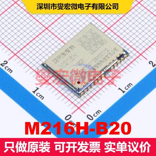 M216H-B20 LCC-24(12x16) 射频接收器 射频芯片IC