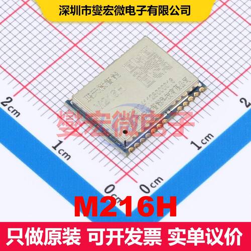 M216H LCC-24(12x16) 射频接收器 射频芯片IC