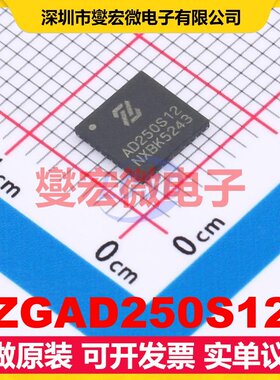 ZGAD250S12 QFN-40(6x6) ADC模数转换芯片IC