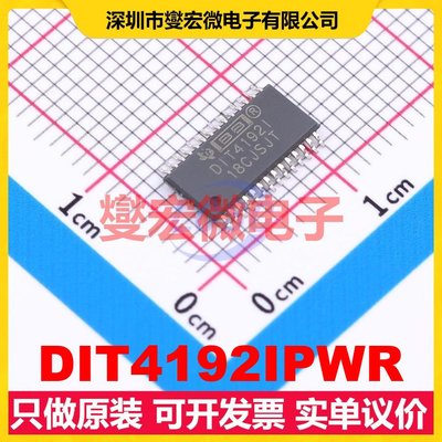 DIT4192IPWR TSSOP-28 音频接口芯片IC