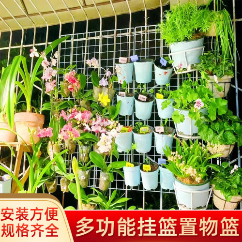 多功能铁丝网格架蝴蝶兰挂篮植物爬藤格子网风车茉莉墙上展示架子