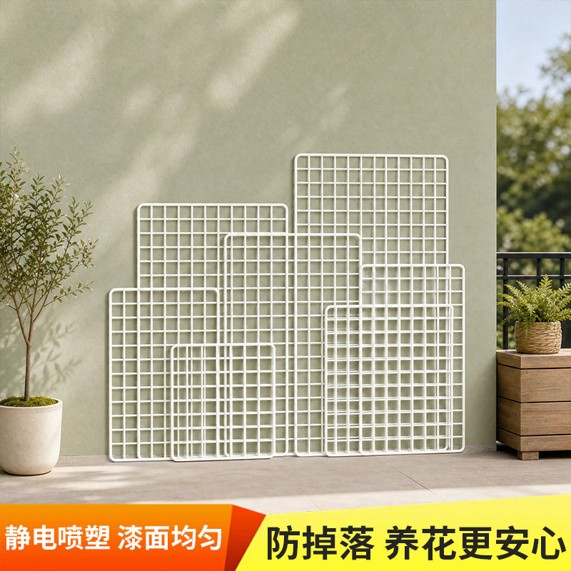 铁丝网格架多功能植物墙上展示架子蝴蝶兰挂篮爬藤格子网风车茉莉