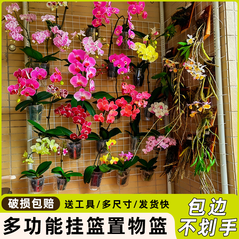 加粗网格铁丝挂篮蝴蝶兰吊篮阳台植物爬藤花架墙上宿舍超市置物篮