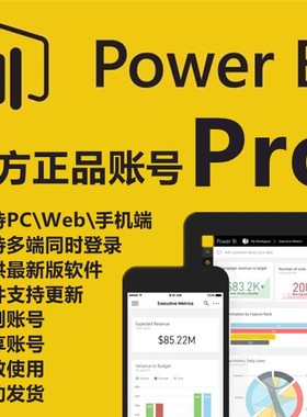 Power BI数据可视化powerbi pro永久账号 统计分析fabric copilot