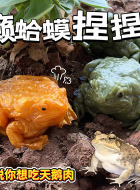 抖音同款癞蛤蟆捏捏乐仿真硅胶解压青蛙自制手绘创意减压手作玩具