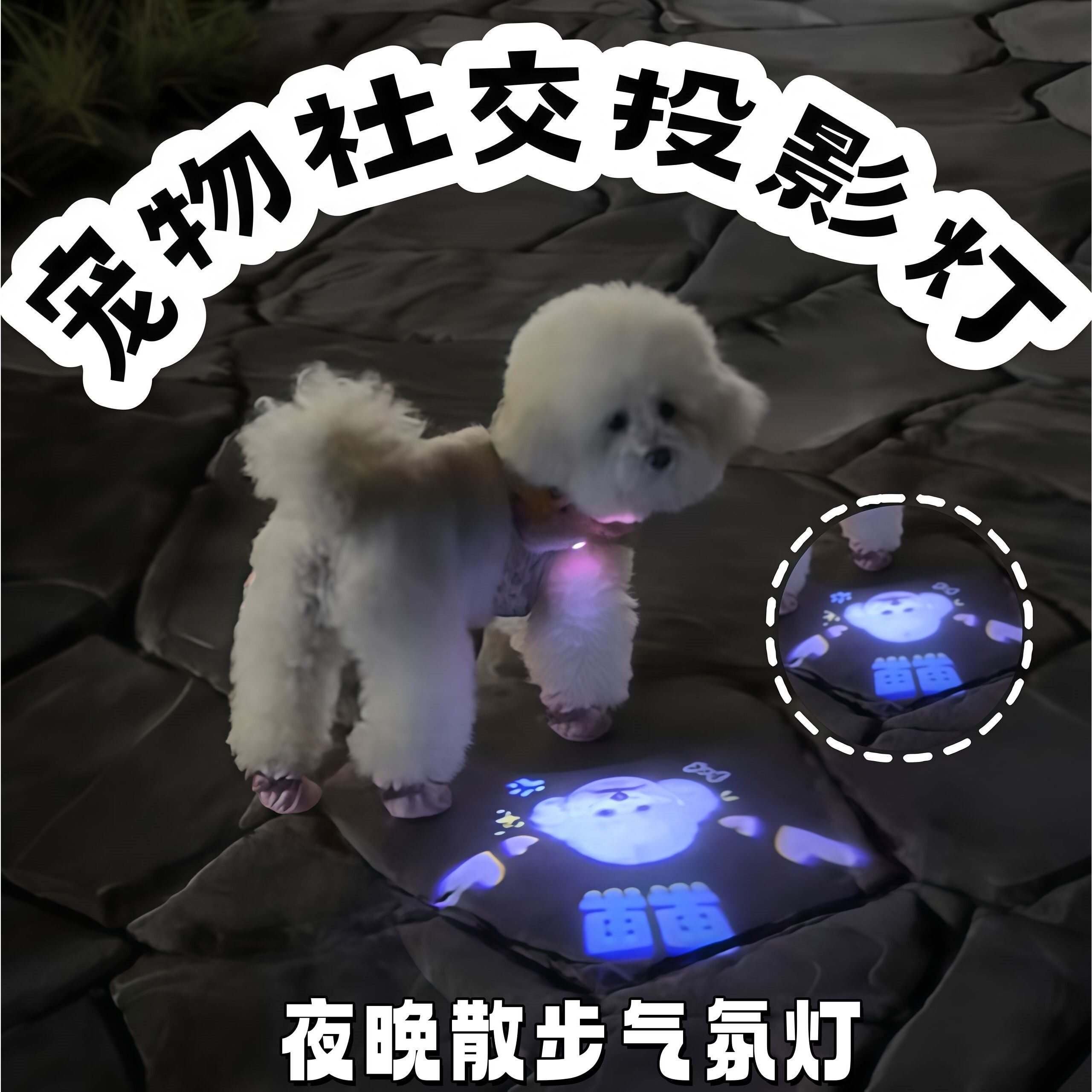 宠物社交投影灯创意狗狗夜行散步防丢失神器猫咪led照明气氛灯
