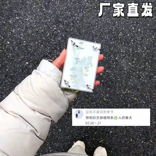 mini随身压花本亚克力标本DIY
