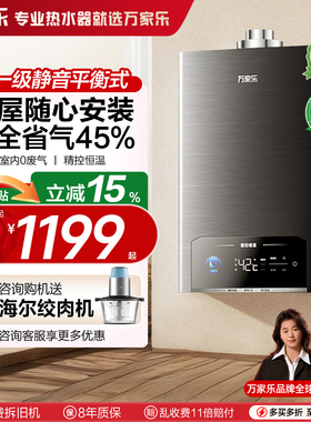 万家乐平衡式燃气热水器家用天然气13升液化气静音恒温16升P5R1