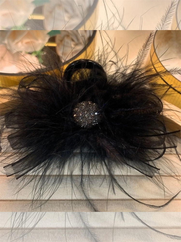 高级感气质亚克力水钻羽毛抓夹