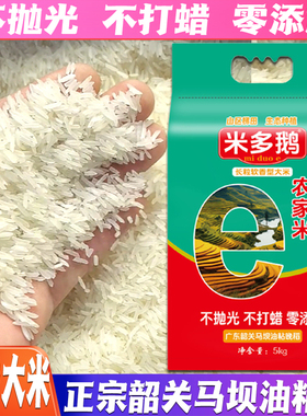 广东韶关正宗马坝油粘米象牙米多鹅香不抛光农家米2025年晚稻加工