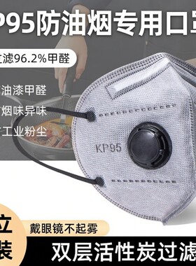 峰凡KP95防甲醛防尘油烟口罩八层
