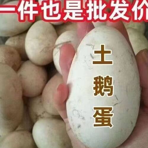 农家散养大鹅蛋140-160克