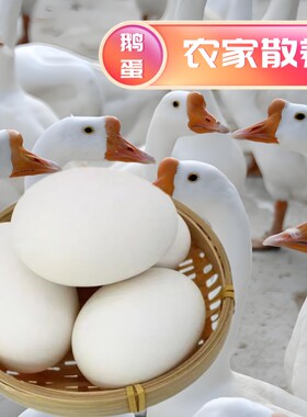 140-160克12枚鹅蛋新鲜农家散养孕妇纯去胎毒土鹅蛋大超大个包邮