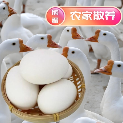 140-160克12枚鹅蛋新鲜农家散养孕妇纯去胎毒土鹅蛋大超大个包邮