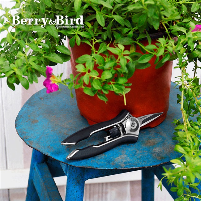 berry&p;bi 花剪园艺剪刀花艺修枝剪家用园林花卉盆栽 英国b属于什么档次？