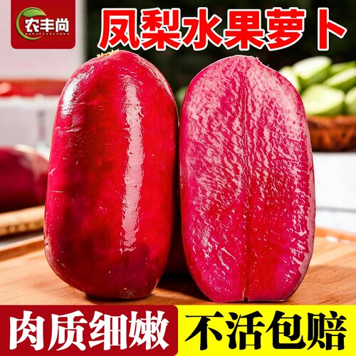 凤梨水果萝卜种子紫美人萝卜籽