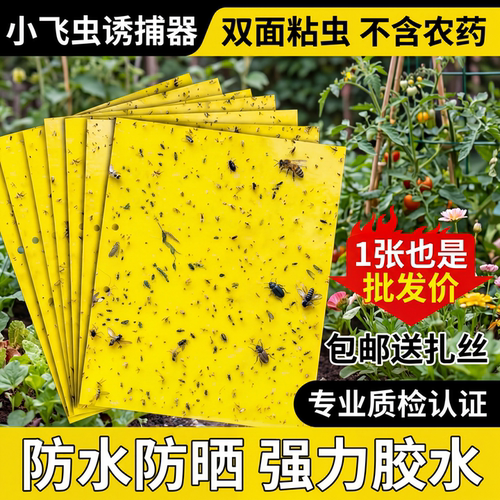 黄板双面粘虫板蓟马纸贴黄蓝飞虫