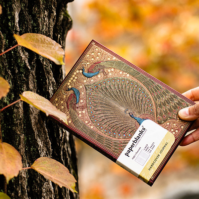 佩兰克哈菲兹的孔雀笔记本手帐