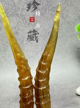 珍日藏外蒙天然羚羊血丝羊角手把