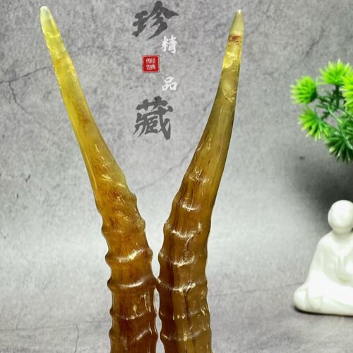 珍日藏外蒙天然羚羊血丝羊角手把