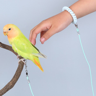 鹦鹉放飞绳不伤脚超轻训练绳虎皮玄凤牡丹脚环脚链脖套遛鸟飞行绳