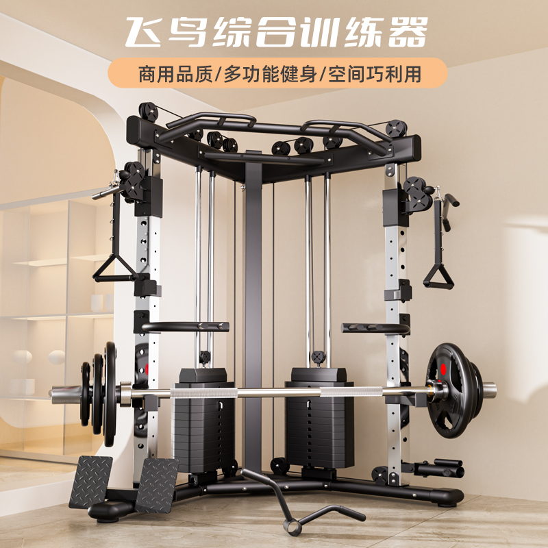 小飞鸟高位下拉多功能一体龙门架