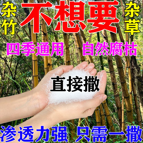 打竹子的药除杂竹根专用去竹粉剂清竹子强力腐蚀清竹根竹子草根绝