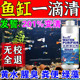 鱼缸净水剂一滴清硝化细菌消毒杀菌药鱼缸专用免换水质净化除藻剂