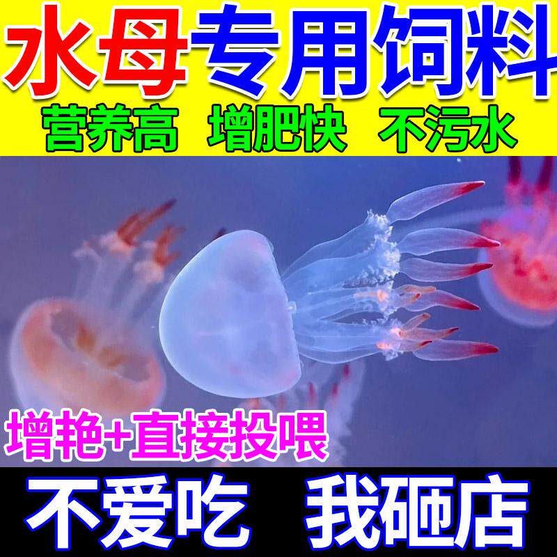 水母饲料快速增肥赤月海月水母粮宠物耐活专用食物免孵化丰年虾卵