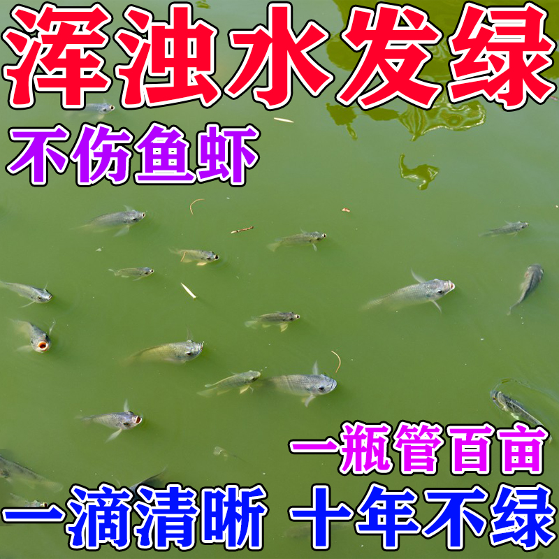 一滴清澈见底】鱼塘净水剂池塘变清鱼塘消毒杀菌净水药养鱼专用药
