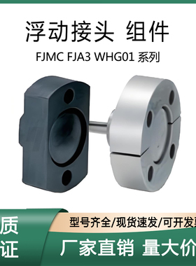 浮动接头FJA3 4 5 6 8 10 12 14 16 18 20 22 24 26FJMA FJMC