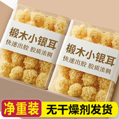 2025新货净重椴木小银耳无熏硫银耳干货小朵银耳白木耳易煮即糯莲