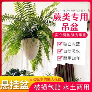 垂吊霸王蕨吊盆波士顿蕨自吸水懒人盆悬挂式 绿萝花盆塑料吊兰花盆
