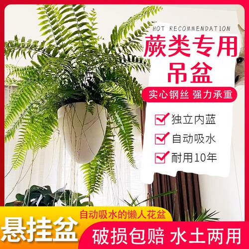 懒人自吸水北欧风树脂
