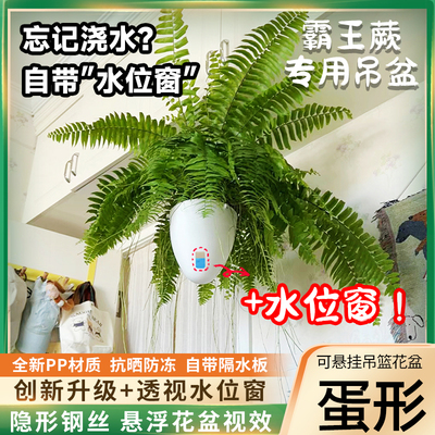 自动吸水水位可视抗晒食品级