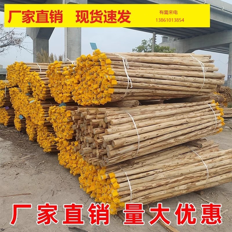 树木固定器防风稳定架绿化园艺公园支G撑架杨木支架防倒松木支撑