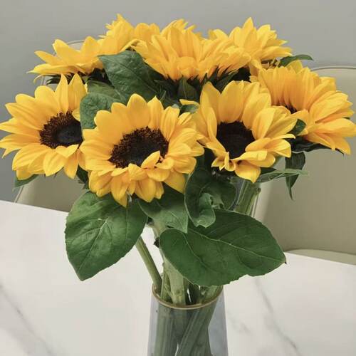 向日葵太阳花鲜花家庭水养插花花束真花摆设云南基地直发