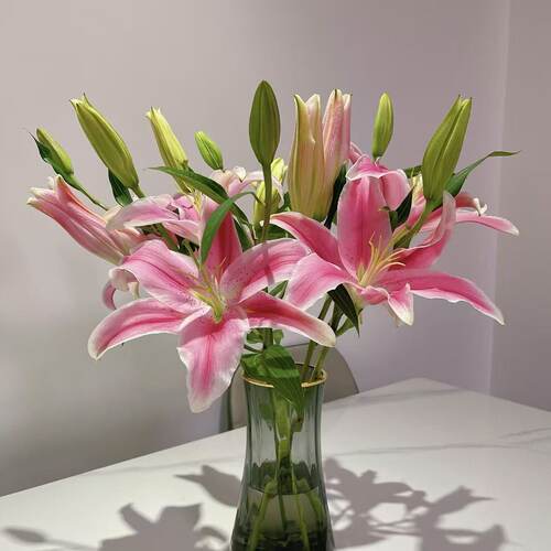 粉色香水百合鲜花插花云南基地直发客厅摆设供佛真花新年氛围装饰