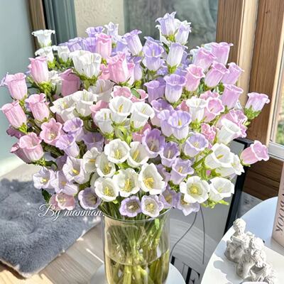 云南基地直发风铃花水培鲜切花束