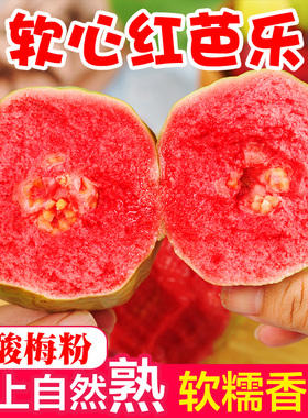 广西软糯红心芭乐水果应季番石榴脆甜胭脂红鸡屎果