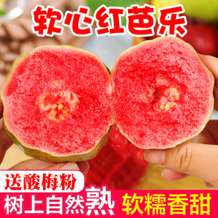 广西软糯红心芭乐水果应季番石榴脆甜胭脂红鸡屎果