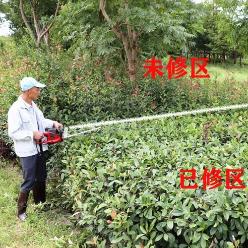 园林电动修剪锯电动修枝剪家用插电大功率修树枝Q剪好用树剪220V