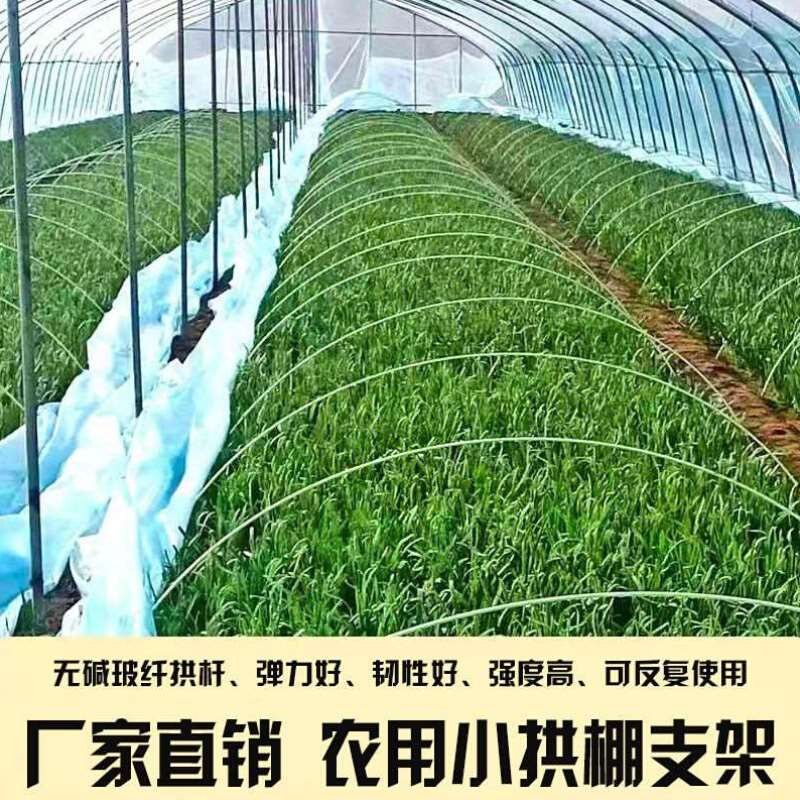 100支农用小拱棚支架花棚菜棚保温棚拱杆大棚骨架玻璃纤维棒