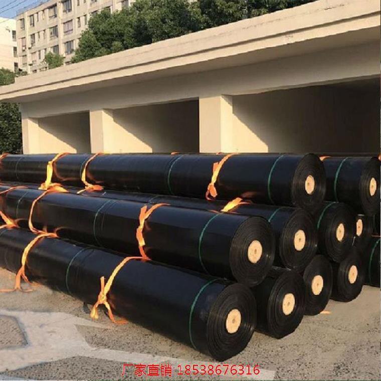 速发庭院种植鱼塘防渗膜虾塘土工膜高性能防水蓄水鱼池布护坡膜菜