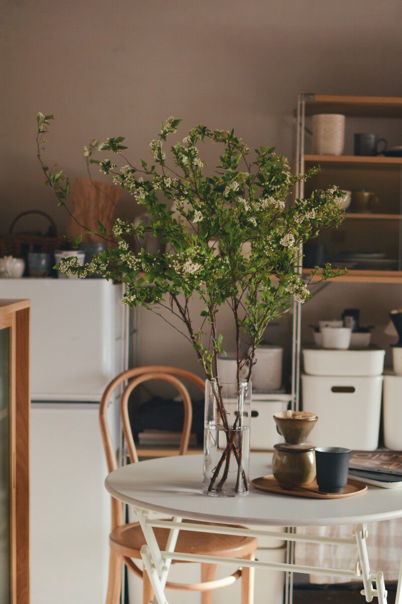 收集时光 camus say日光森林 直身玻l璃花瓶 马醉木吊钟 包邮