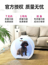 宠物烘干箱中小型犬智能家用全自动吹风吹干吹水机狗狗猫咪烘干机