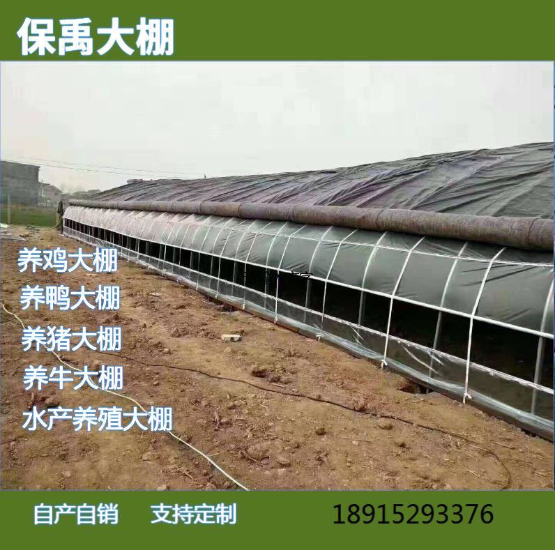 厂家畜牧养殖大棚 养殖农业温室大棚 热镀锌养鸡鸭鹅大棚 水产养