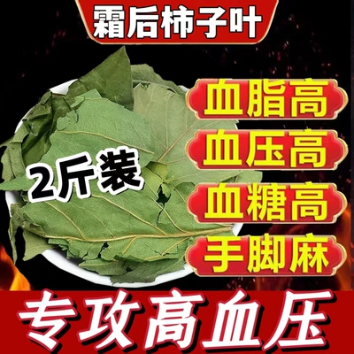 ‮霜后野生新鲜干柿子叶中药泡茶500g泡水喝的功效降压同仁堂官方旗舰店柿子叶降血压血糖血脂三高降压茶