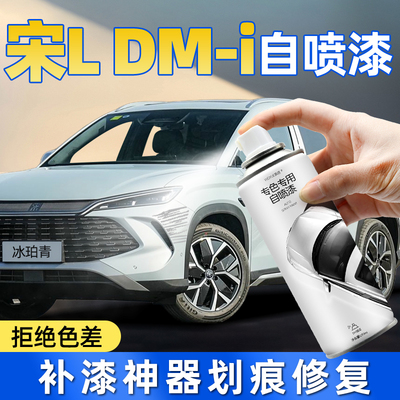 【原厂原漆】宋Ldmi自喷漆